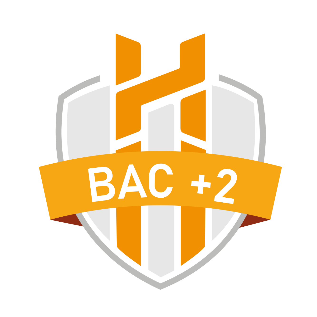 Badge niveau Bac+2