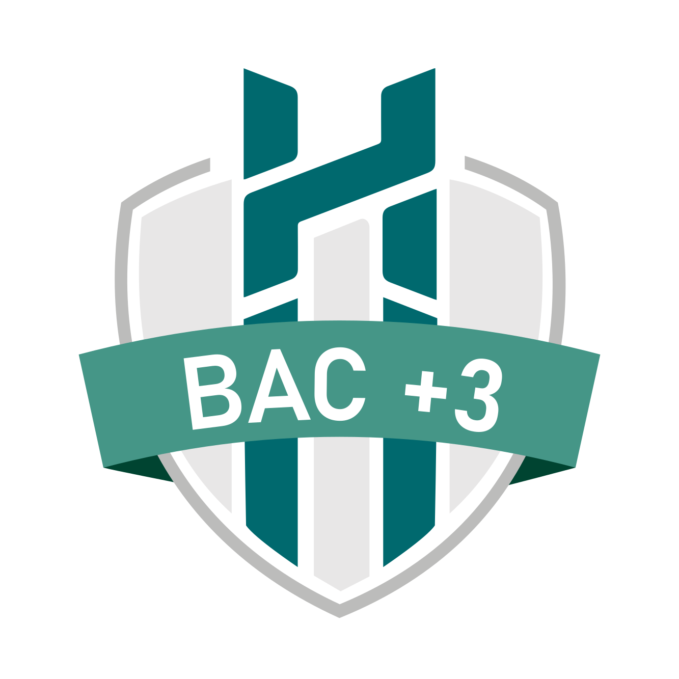 Badge BAC+3