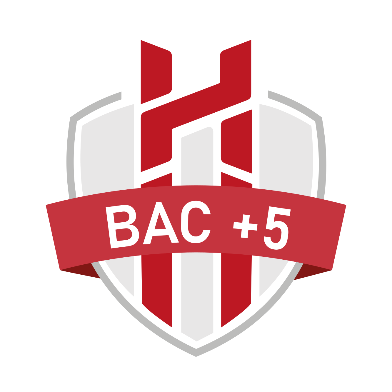 Badge BAC+5
